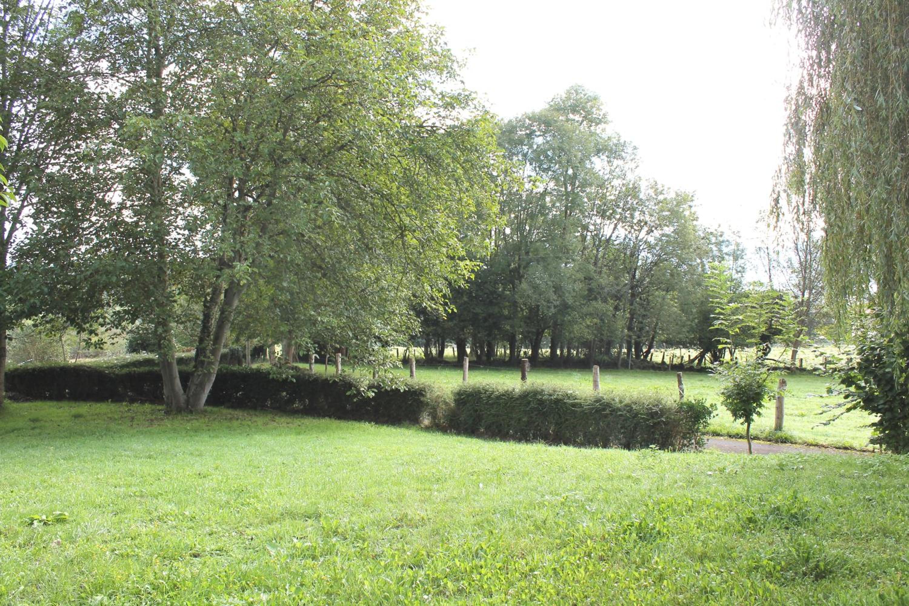 Photo 26