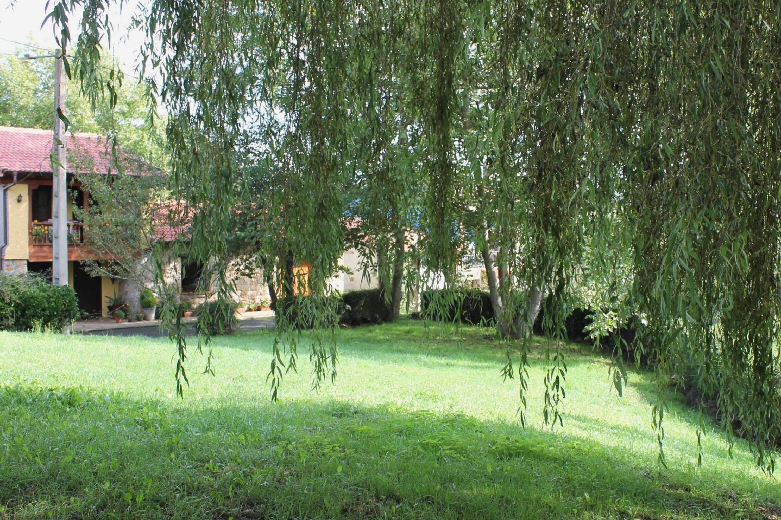 Photo 24