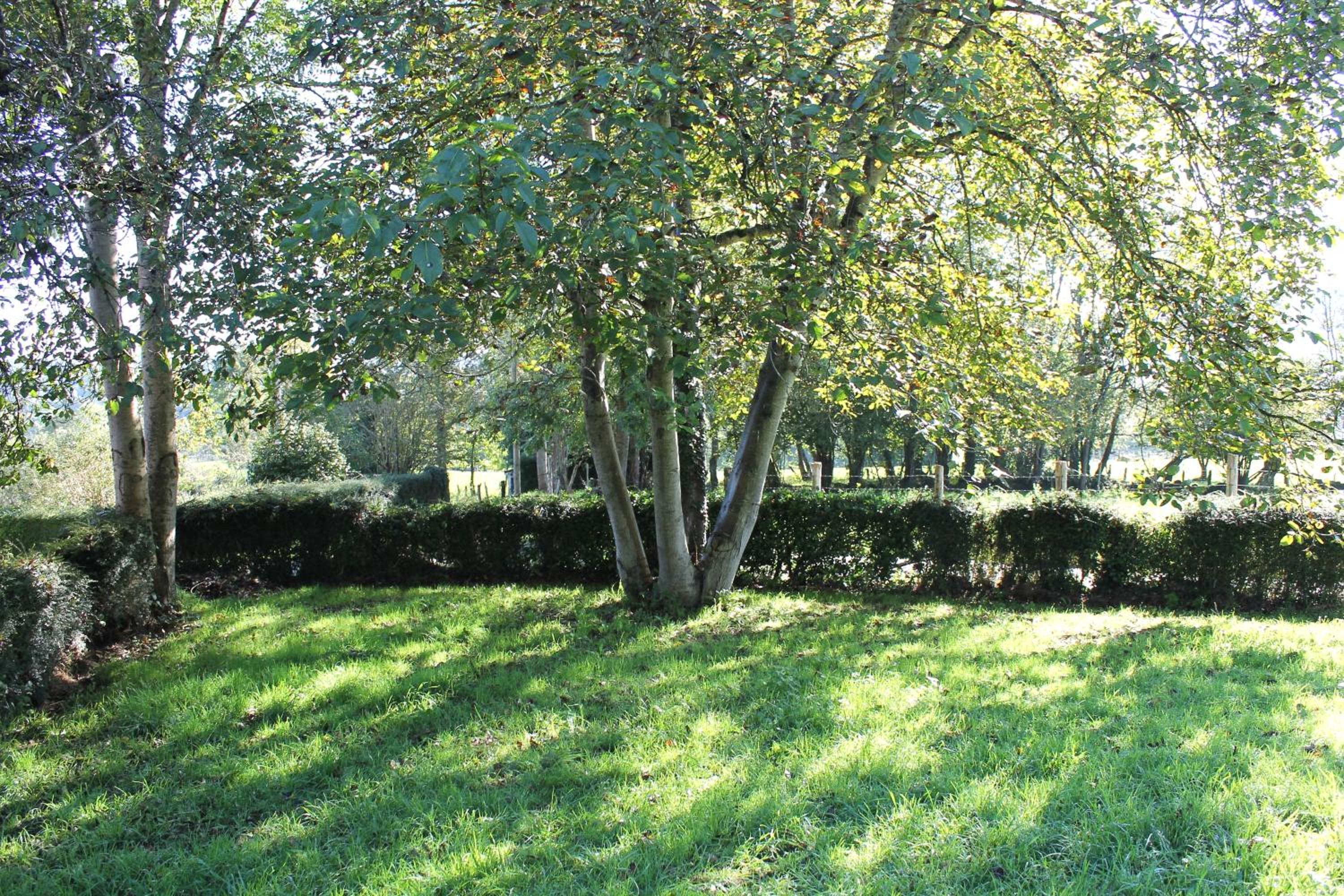 Photo 27
