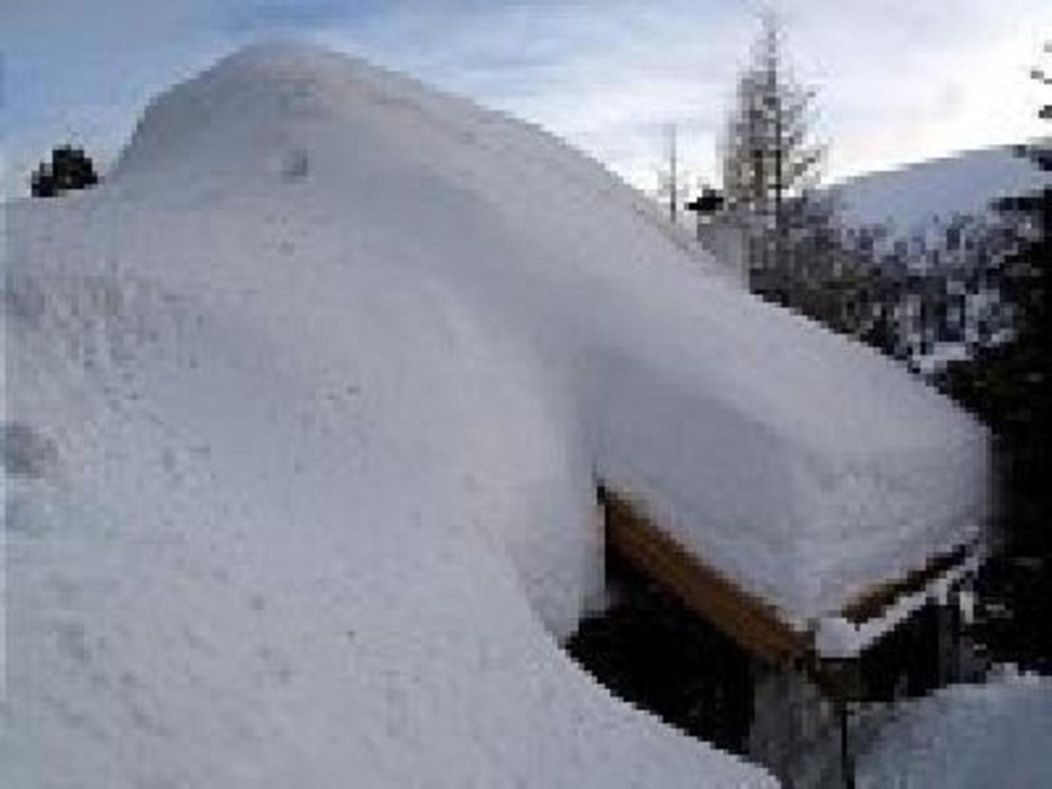Ferienhaus Kärntnerhaus In Falkertsee