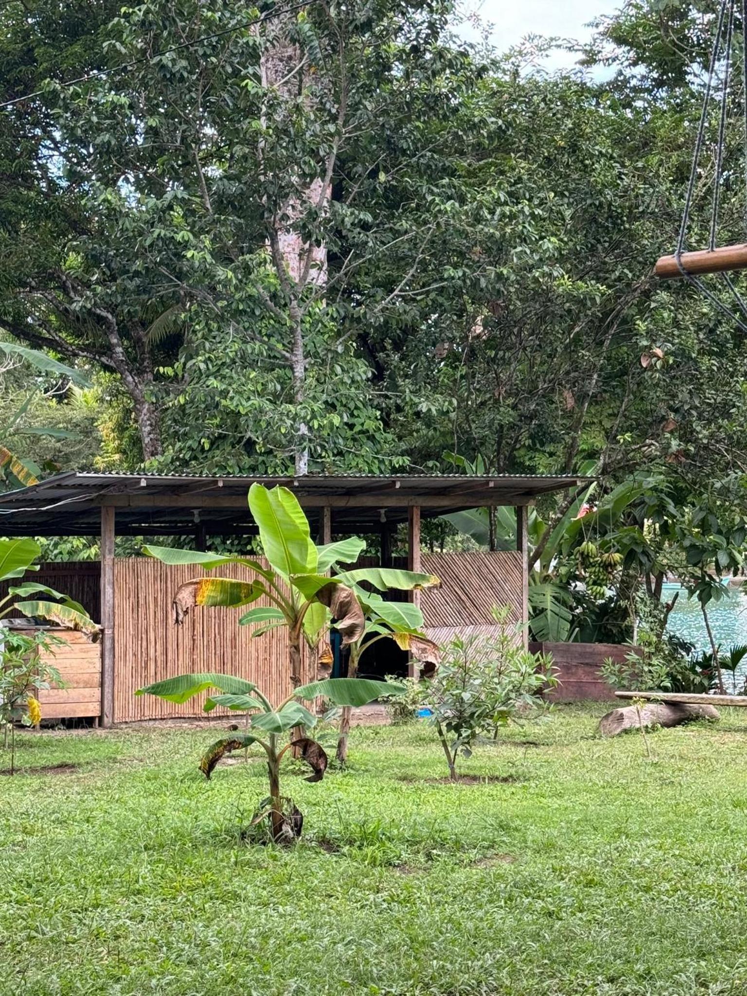 Casa Alma