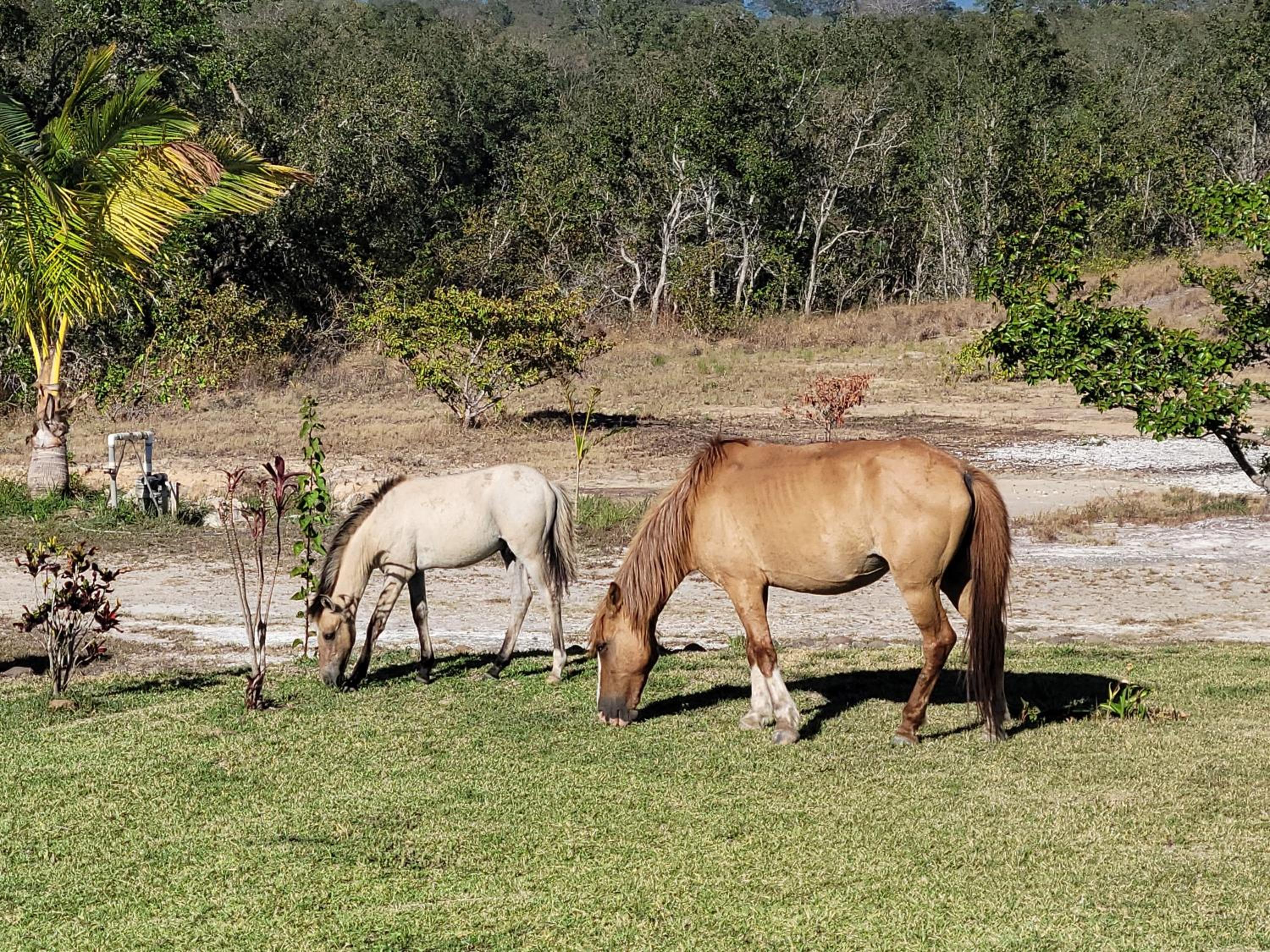 Hacienda en Los Volcanes