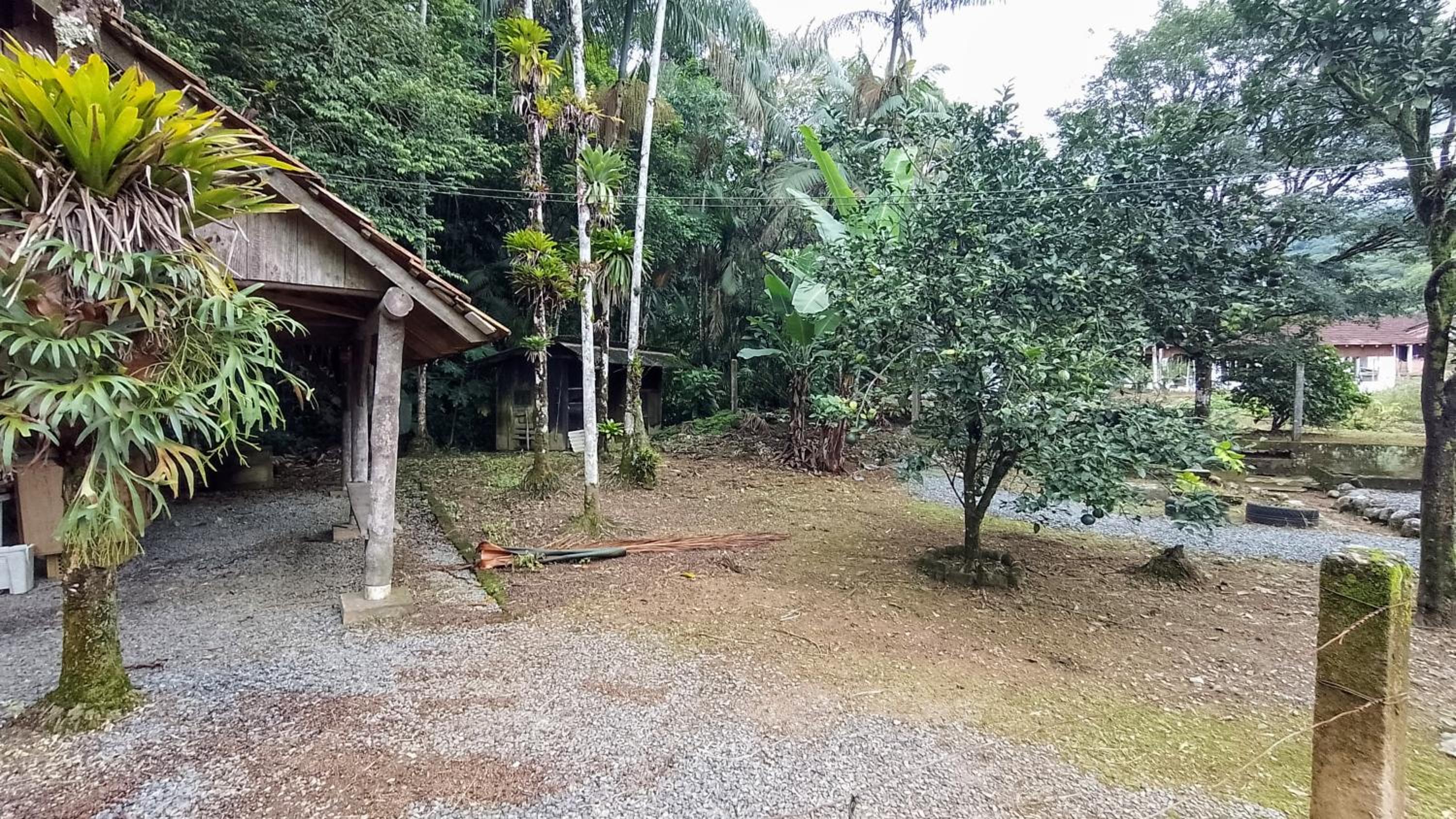 Fazendinha Mildau