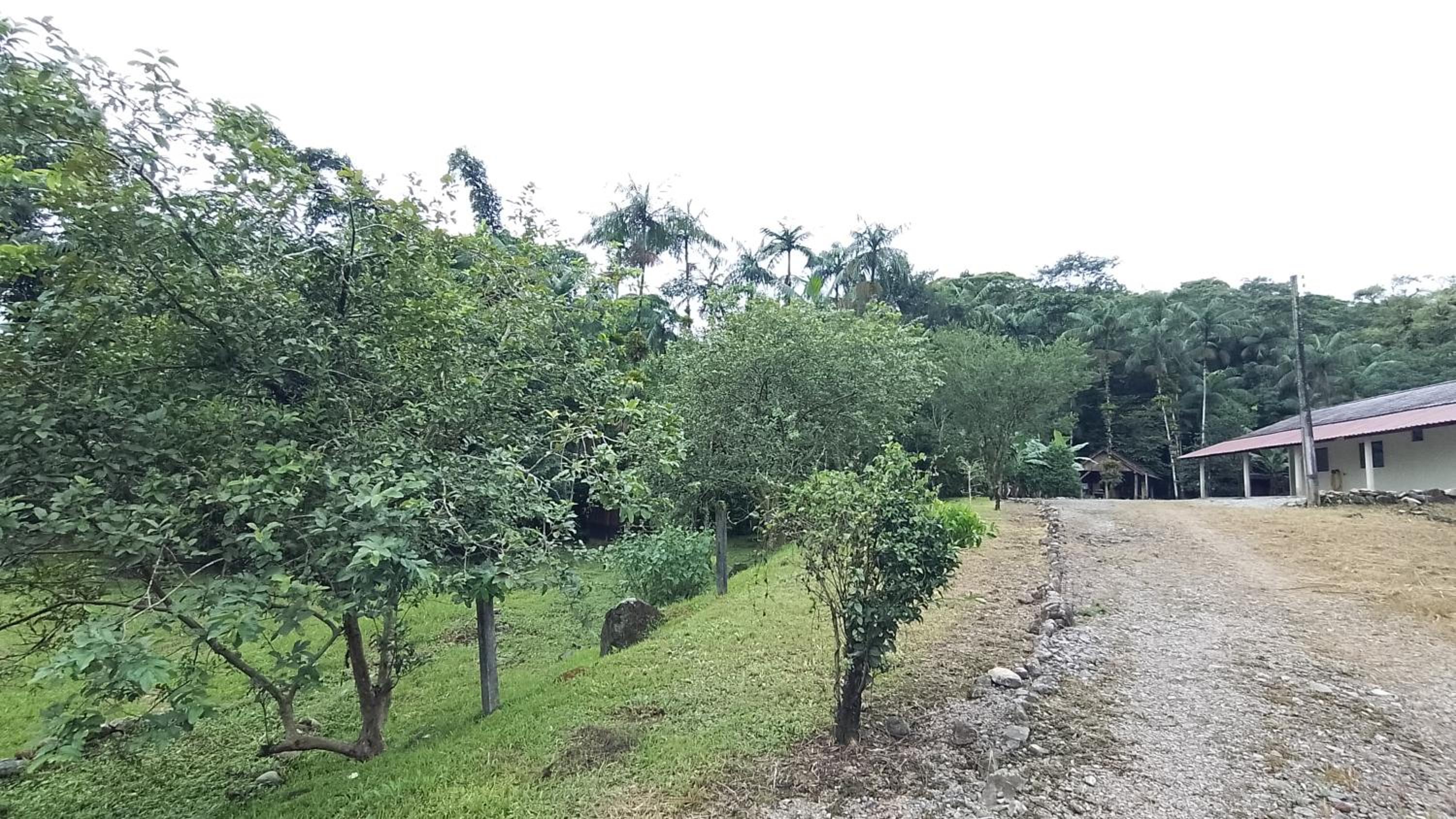 Fazendinha Mildau