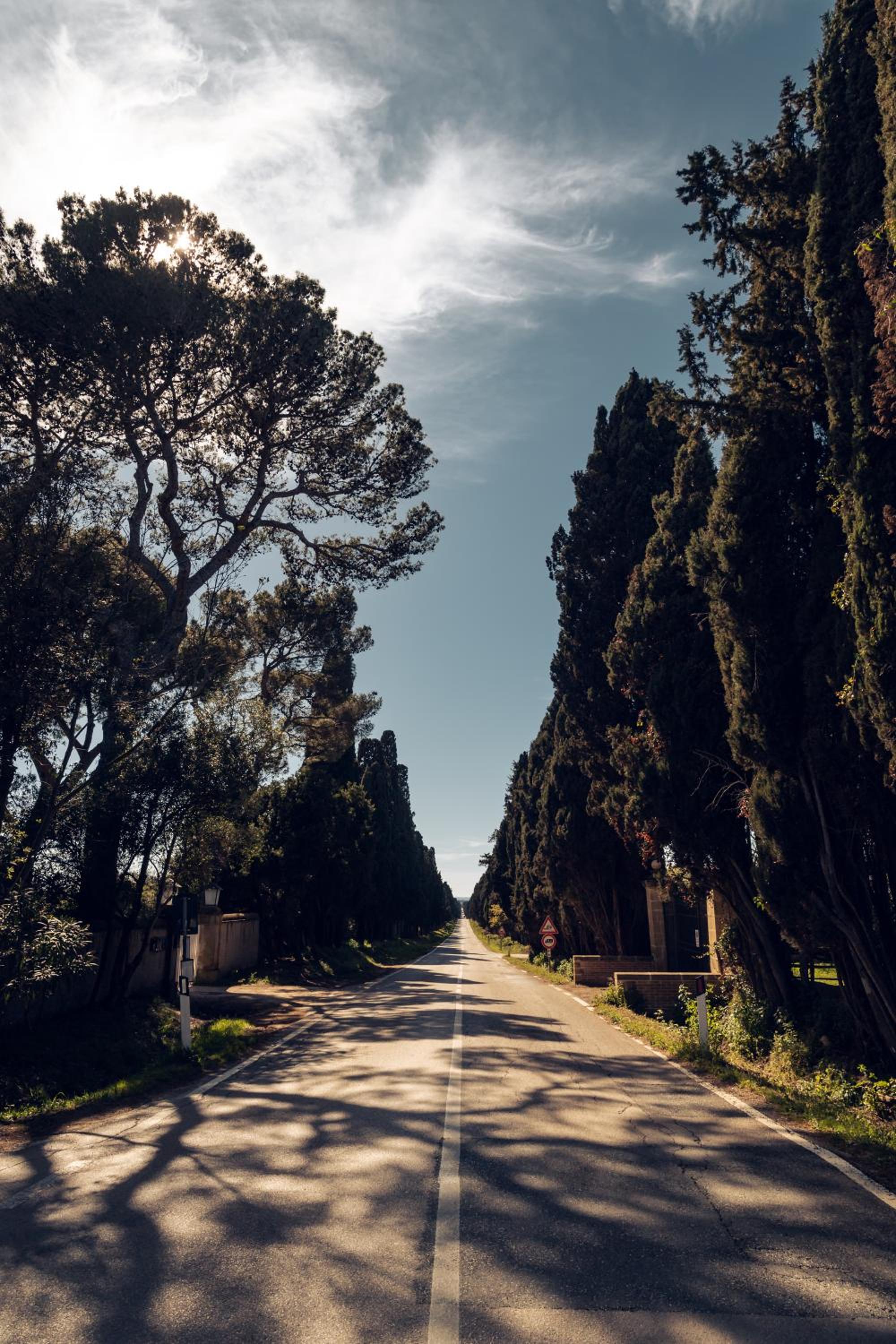 Bolgheri Countryhouse
