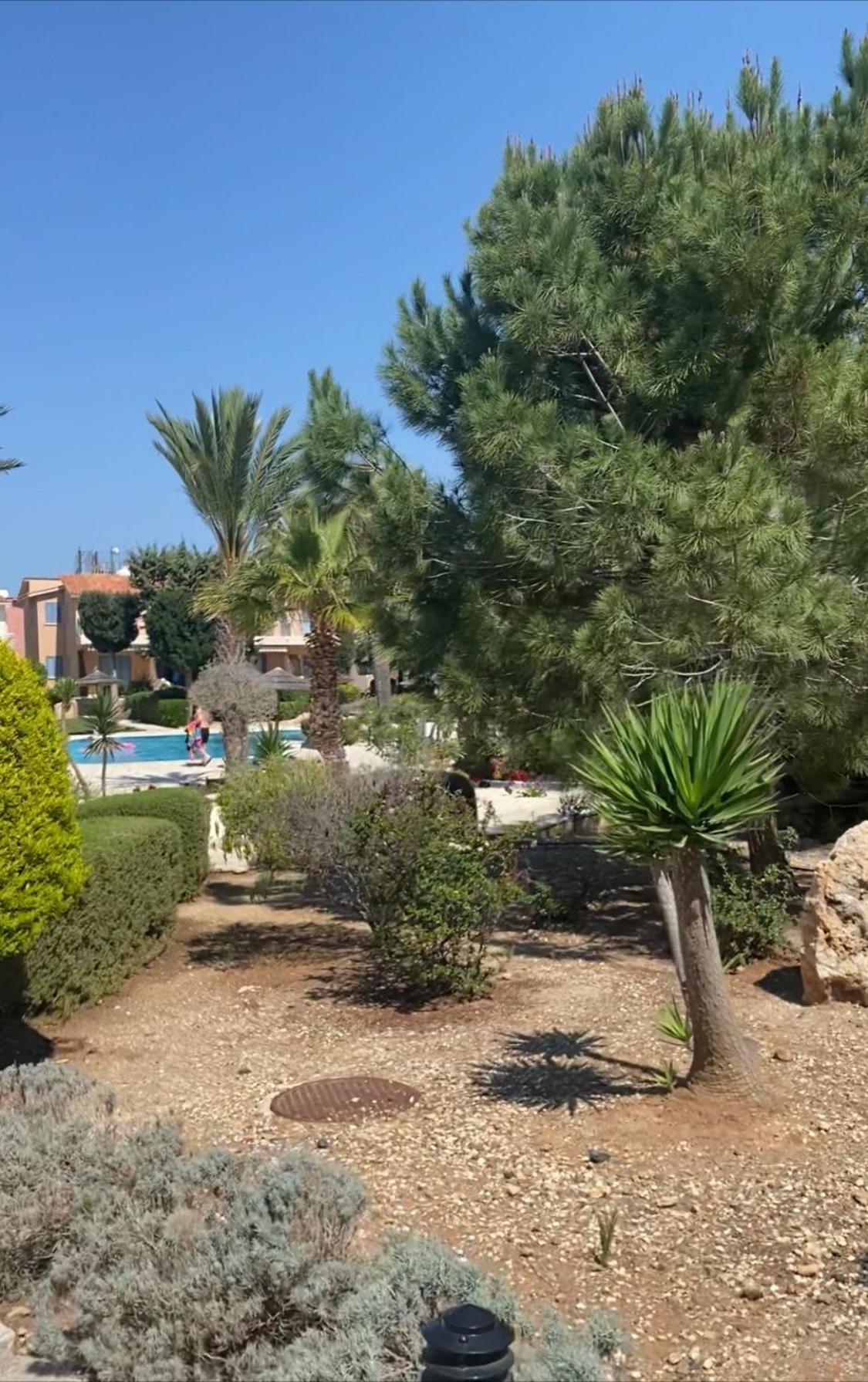 Newly renovated- Regina Gardens 1, Venus Beach 500 m, Sea&Sunsets view, license ooo7141