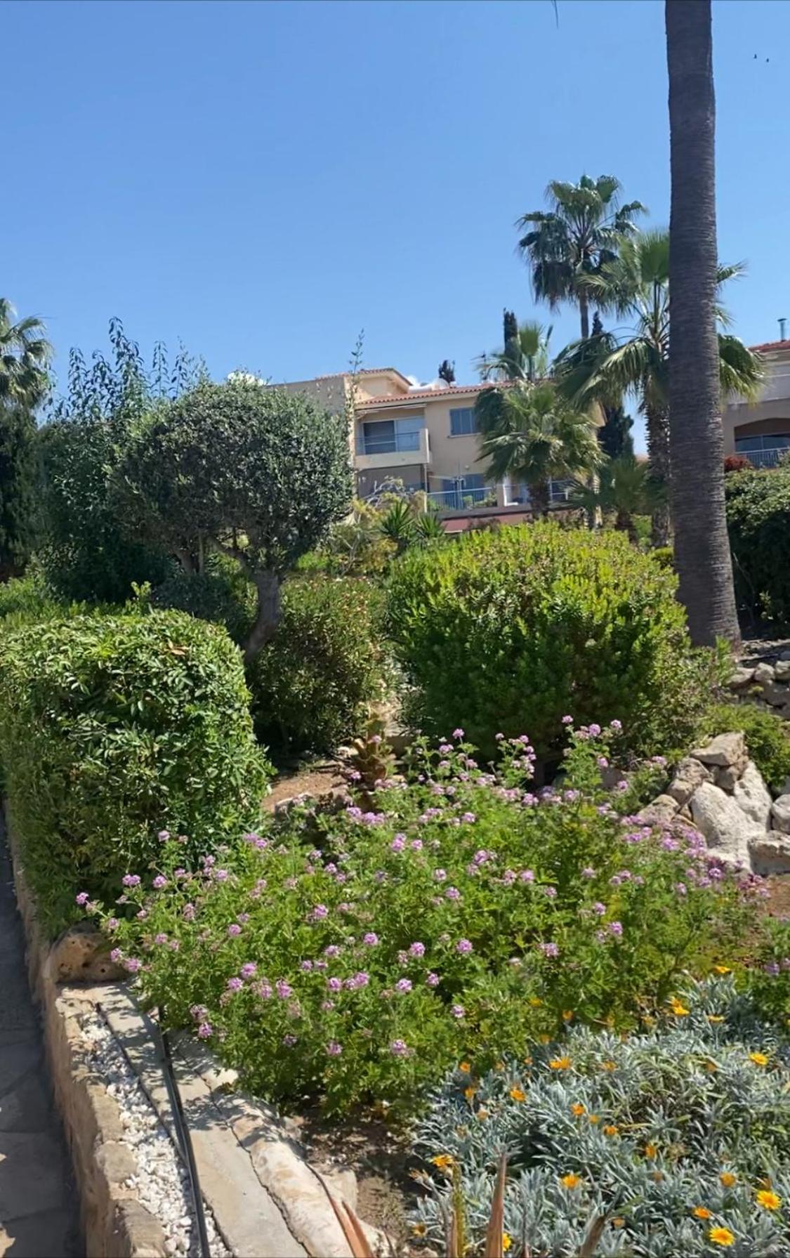 Newly renovated- Regina Gardens 1, Venus Beach 500 m, Sea&Sunsets view, license ooo7141