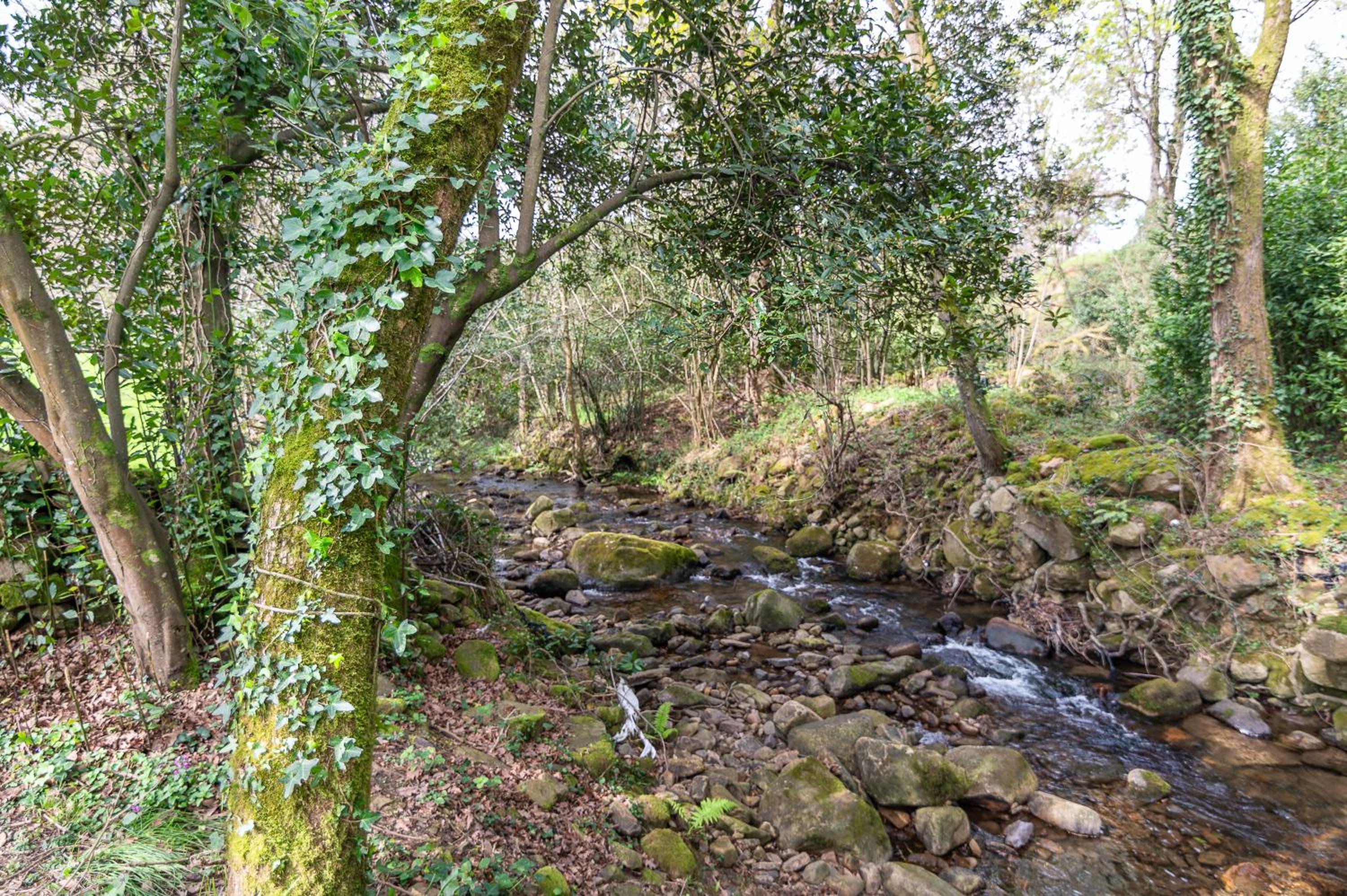 La Cabaña del Arroyo Pasiego