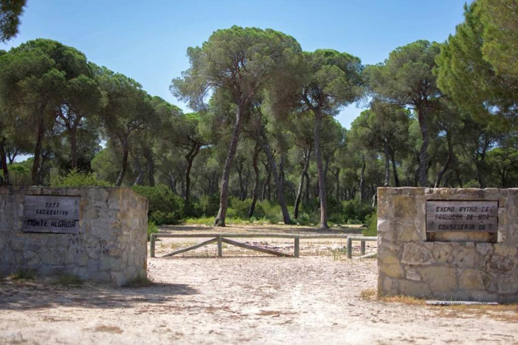 Brisas del Guadalquivir