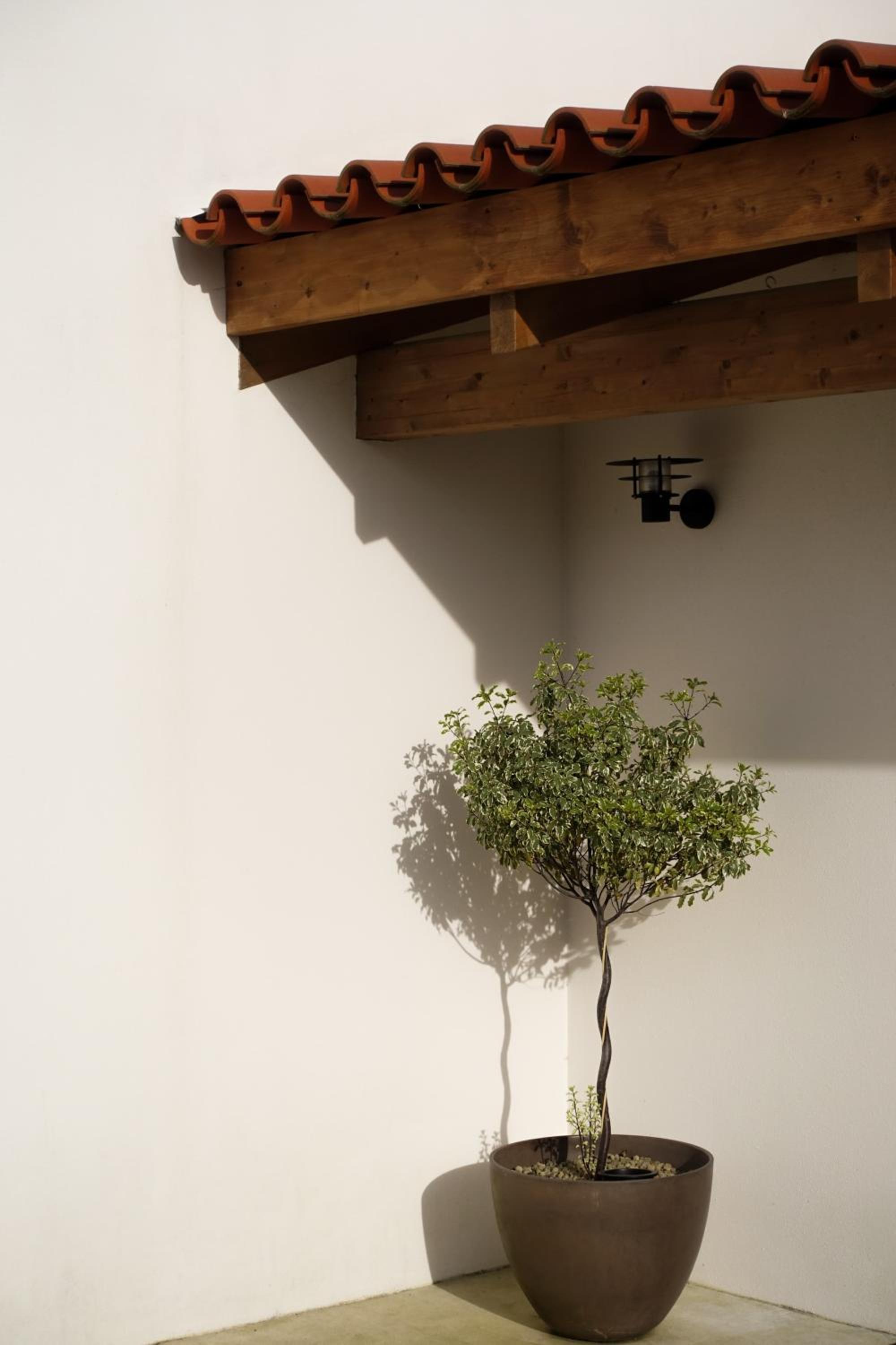 Photo 34
