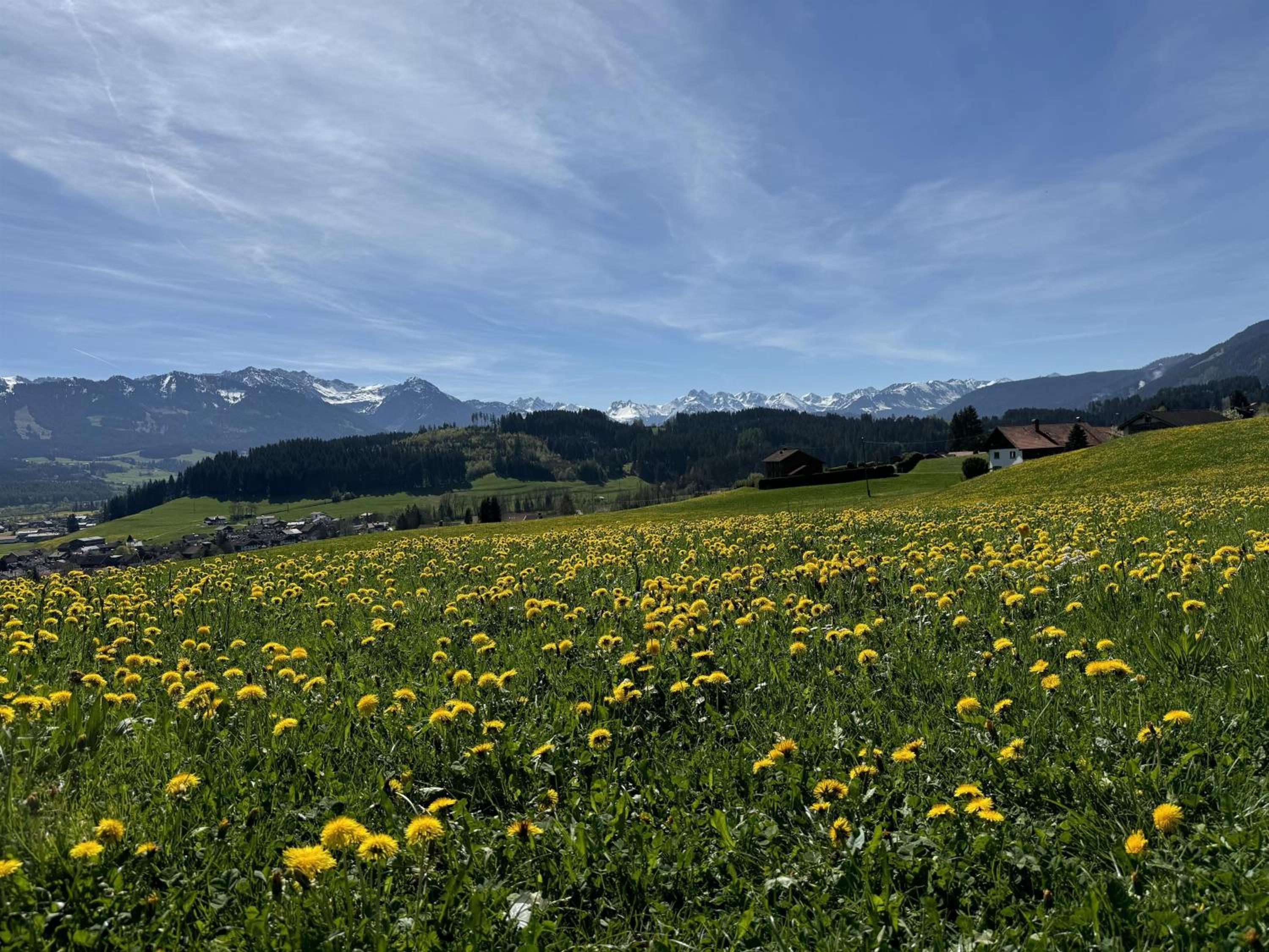 Ferienwohnungen Probst