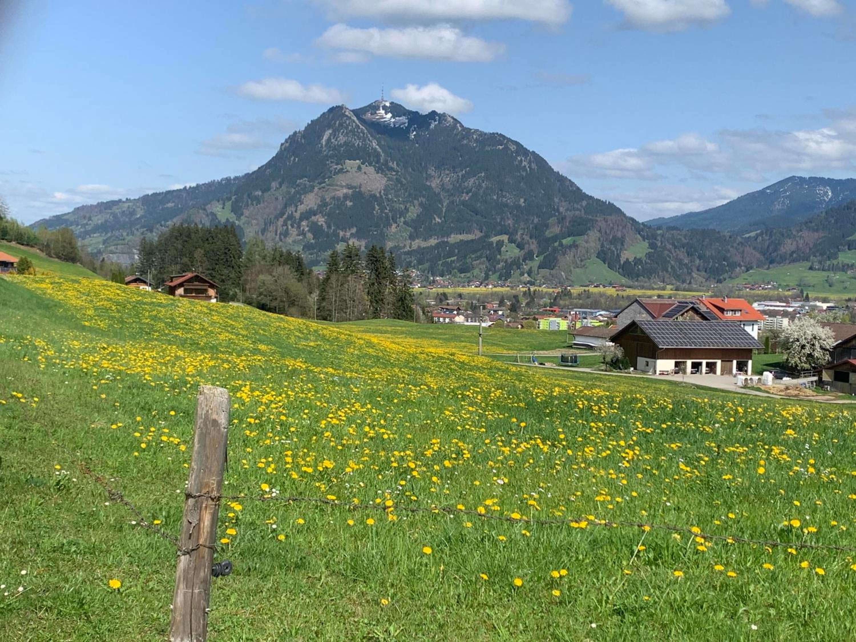 Ferienwohnungen Probst