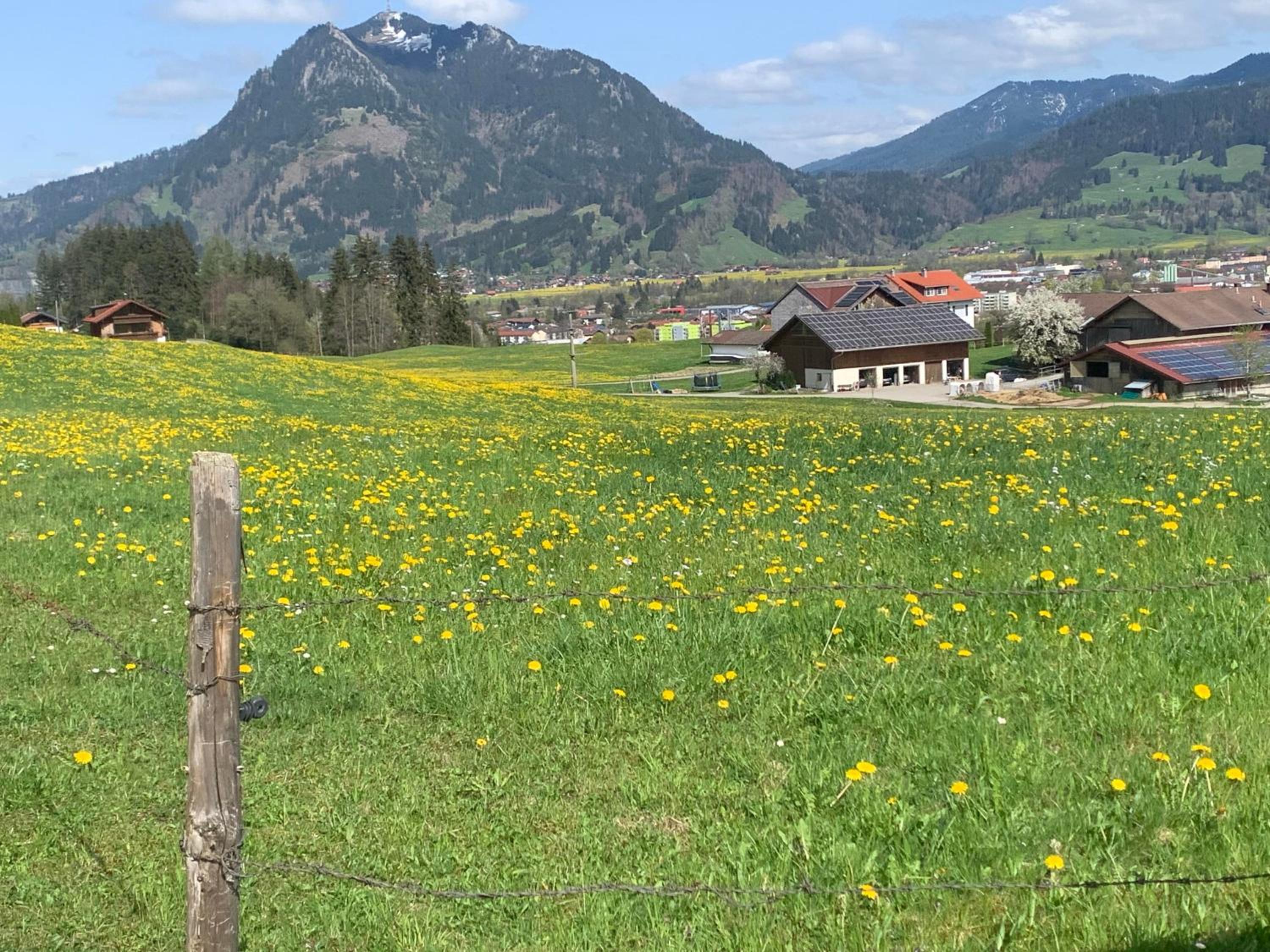 Ferienwohnungen Probst
