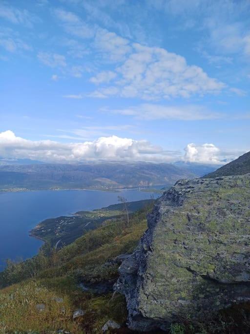 Photo 22