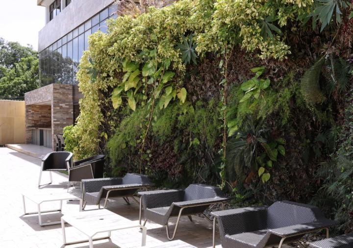 Eurobuilding Hotel & Suites Coro