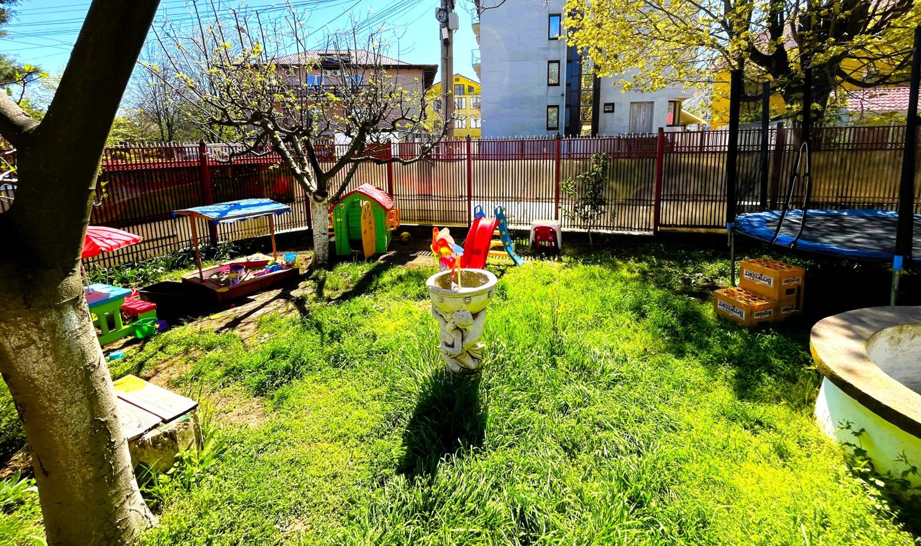 Photo 6