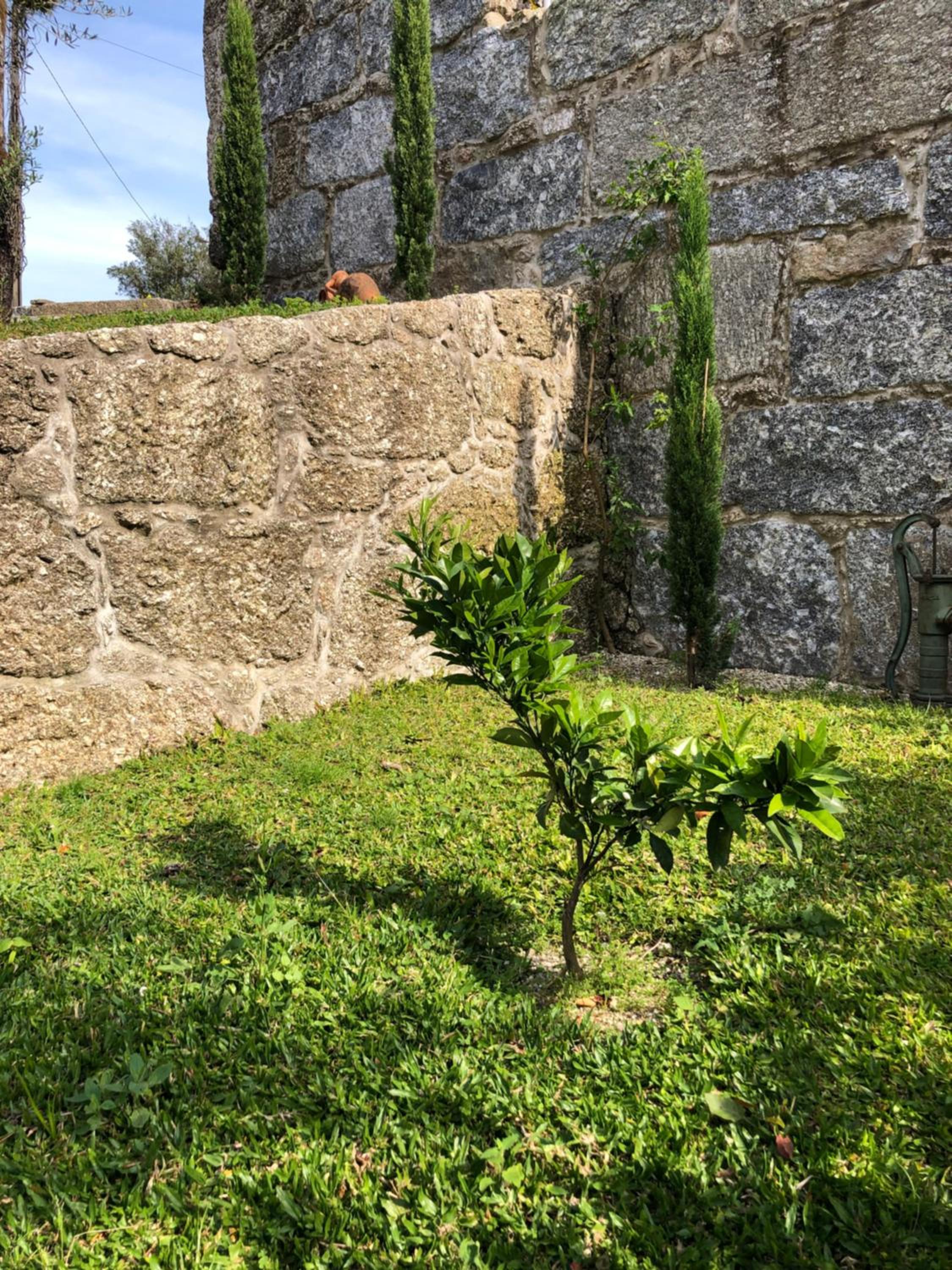 Photo 41