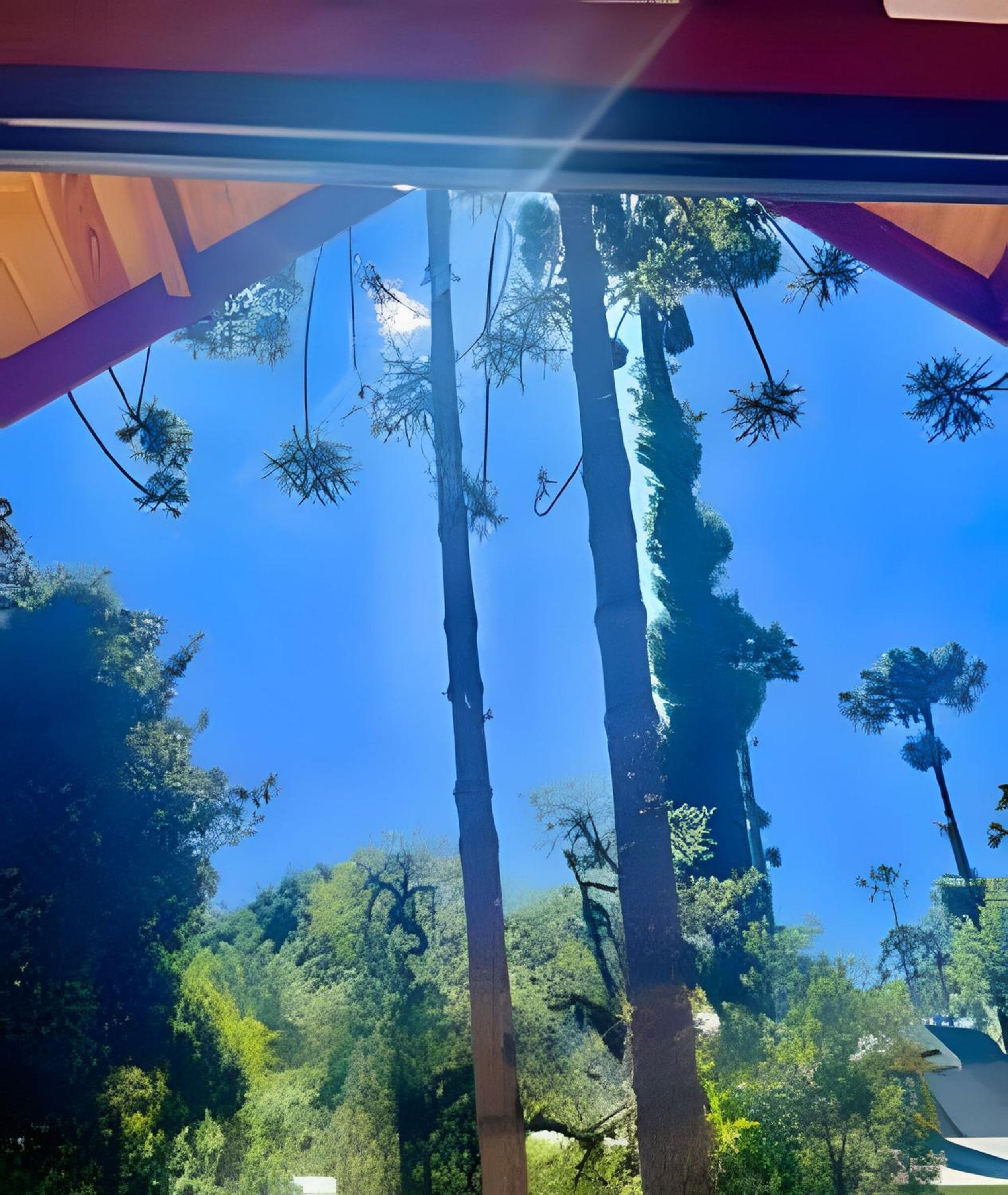 Cabana Suspensa na Natureza - Região Turística