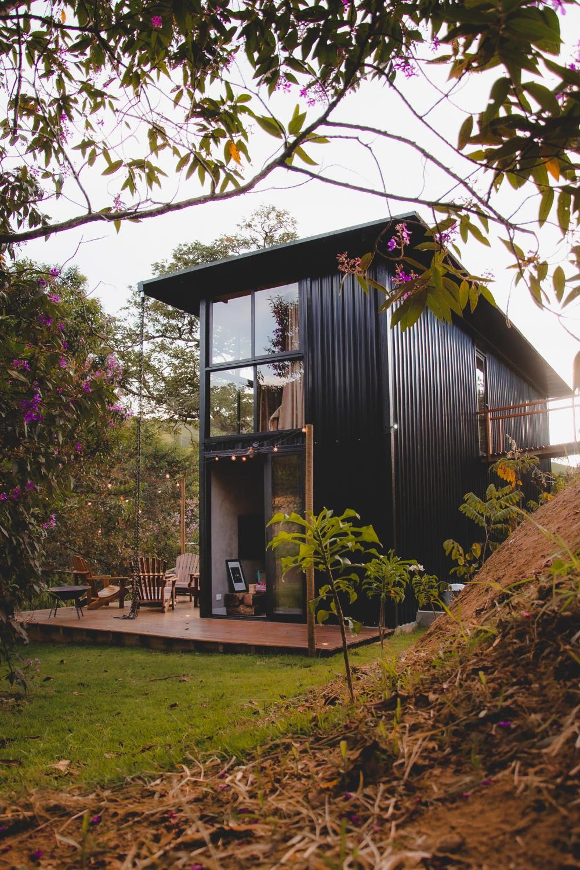 Into The Wild Cabin