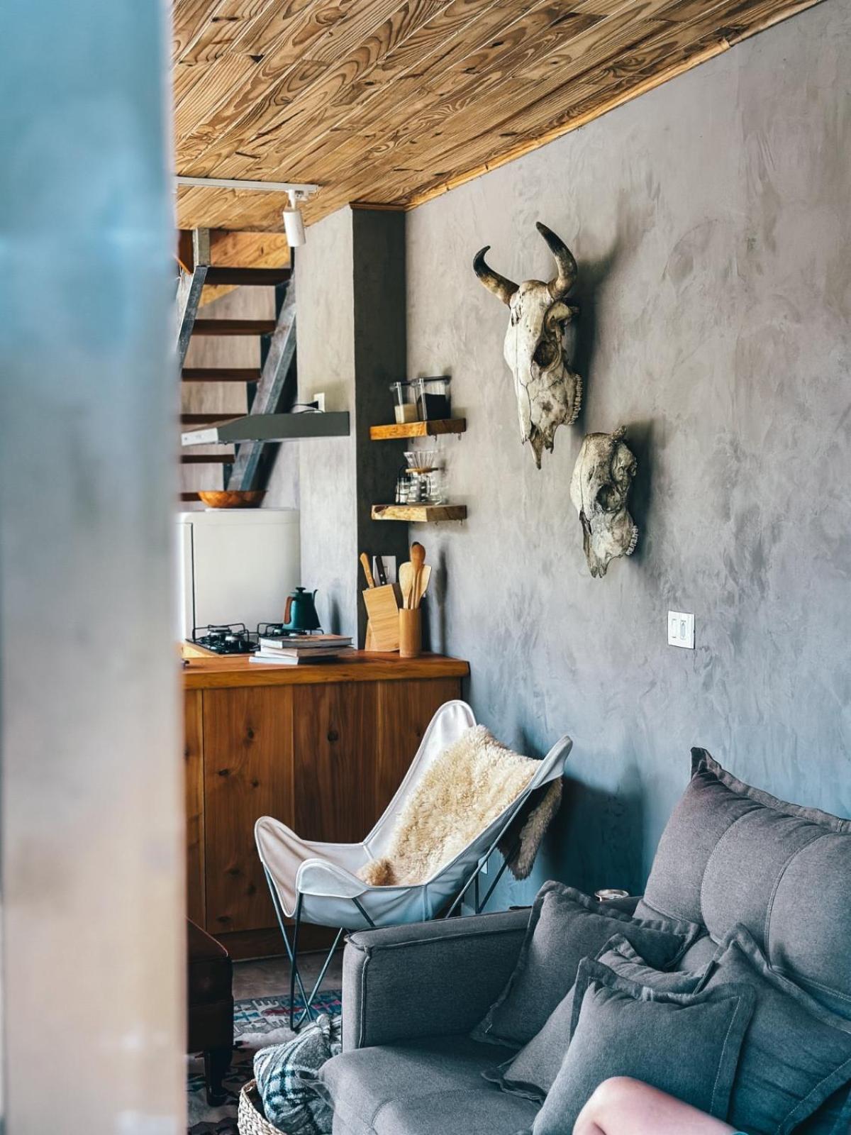 Into The Wild Cabin