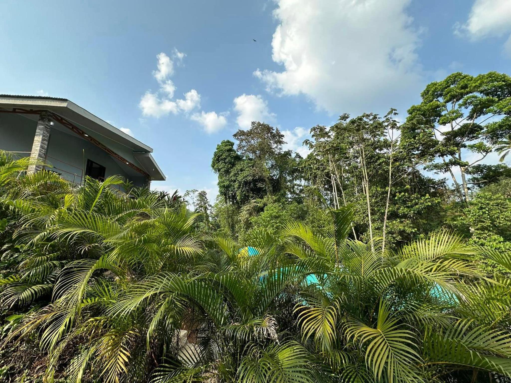 Jonka House Private Jungle Oasis