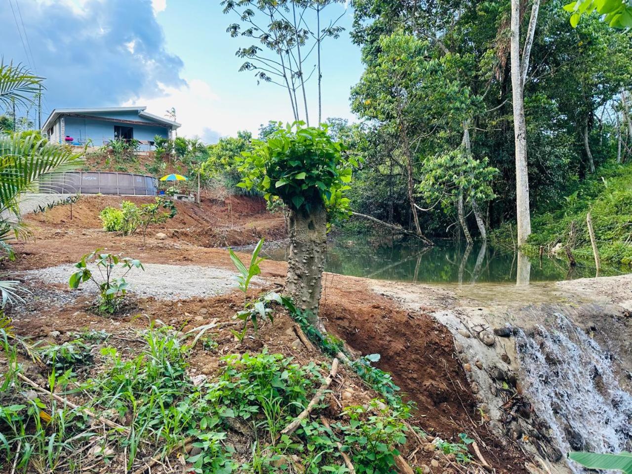 Jonka House Private Jungle Oasis