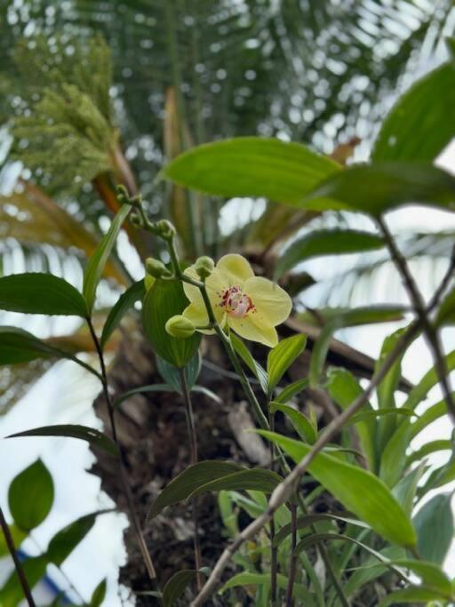 Quinta Las Victorias