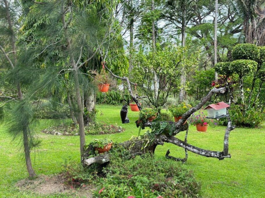 Quinta Las Victorias
