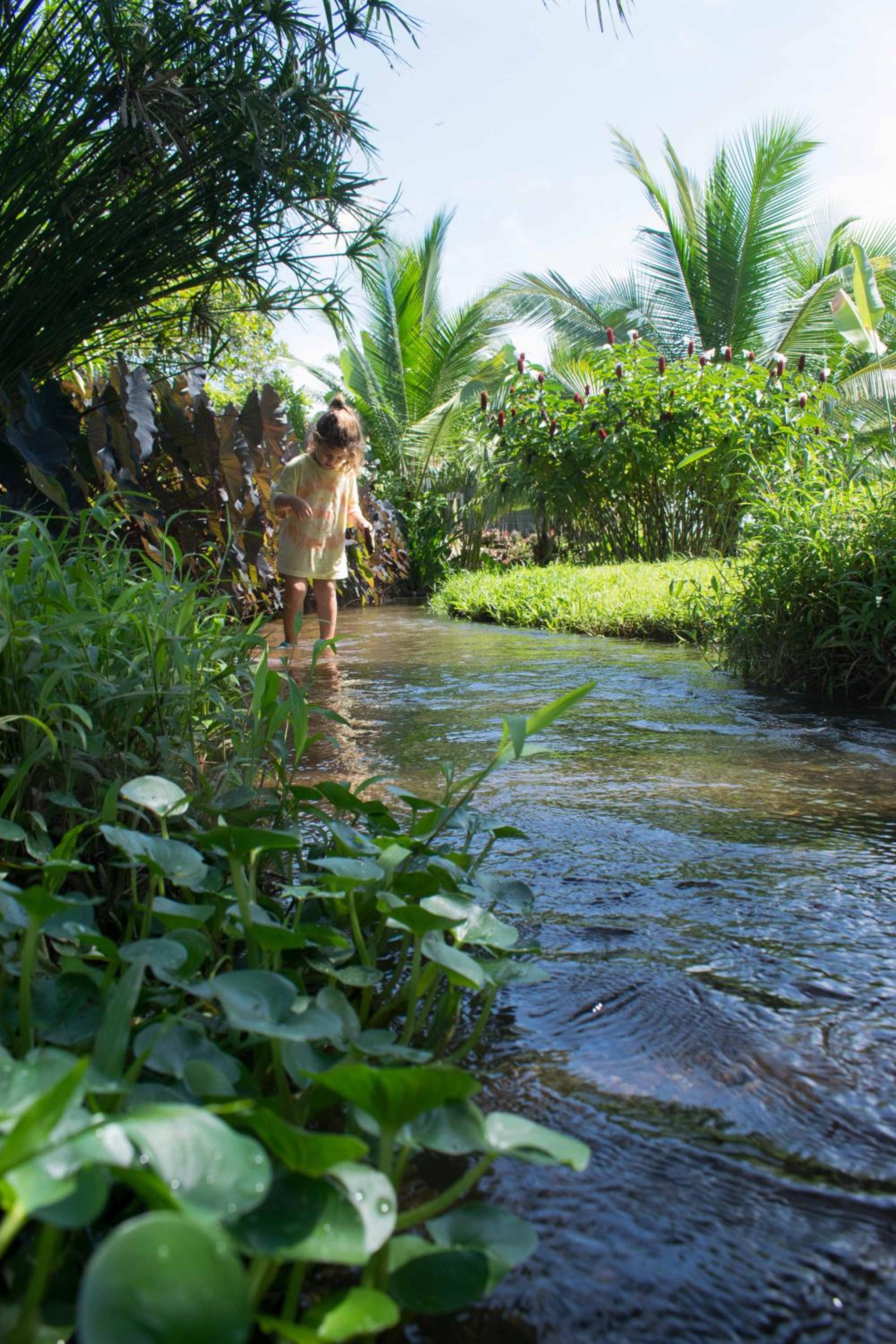 Casa Yami Lodge