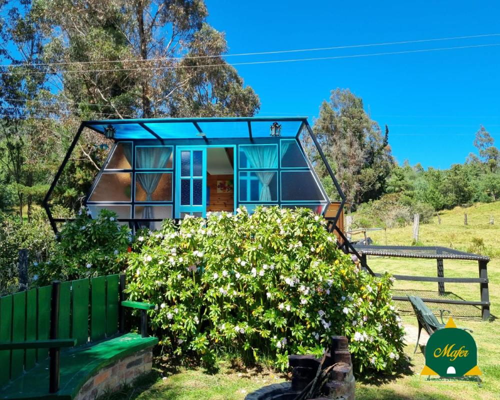 Glamping Mafer 1 Hexagonal