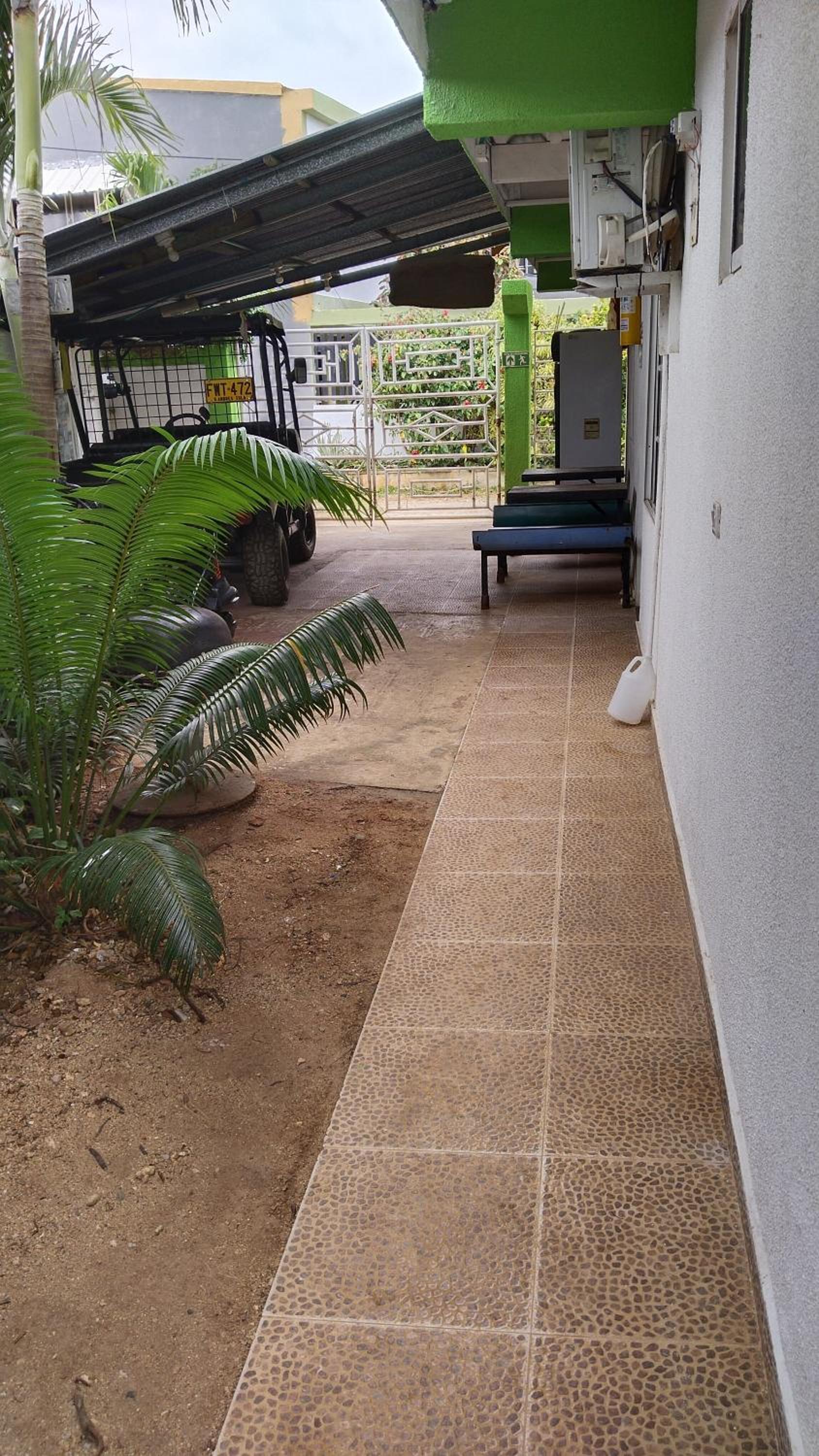 Rocky palms