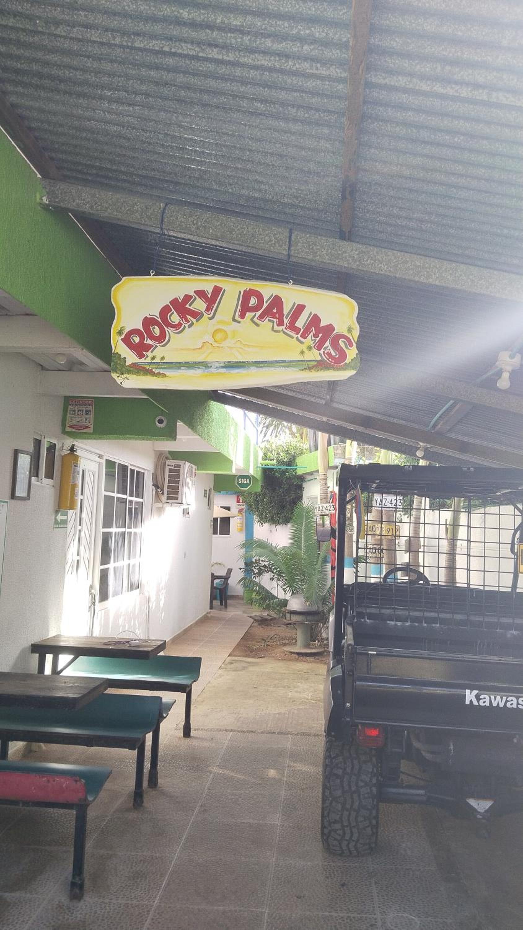 Rocky palms