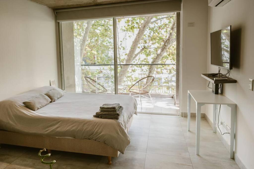 Apartment in the historic San Telmo neighborhood