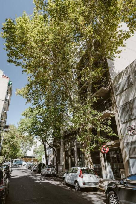 Apartment in the historic San Telmo neighborhood