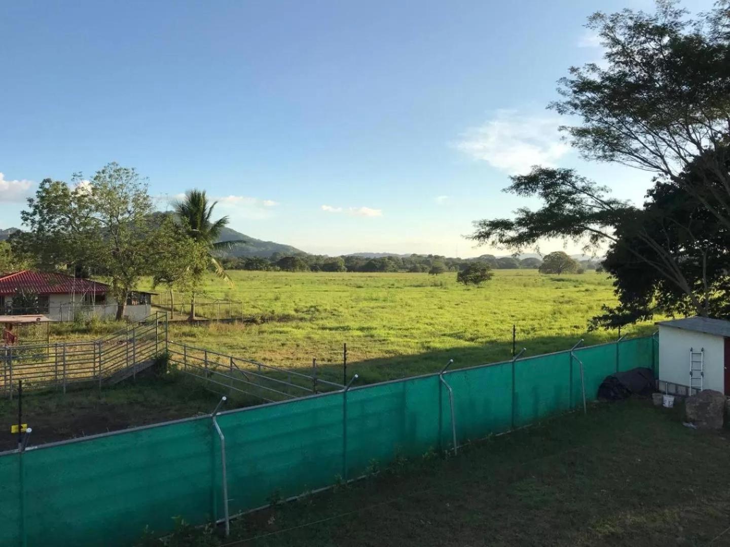 Comfy dog-friendly apt, shared pool - close to Tamarindo