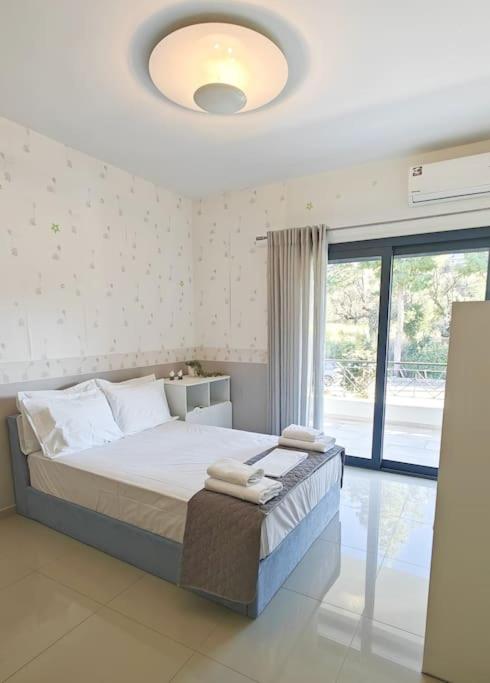 Alexiou Luxury Villa