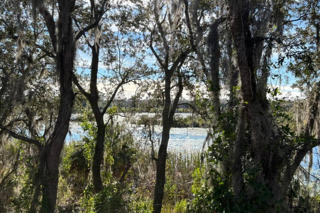 4 Miles to Disney - Serene View