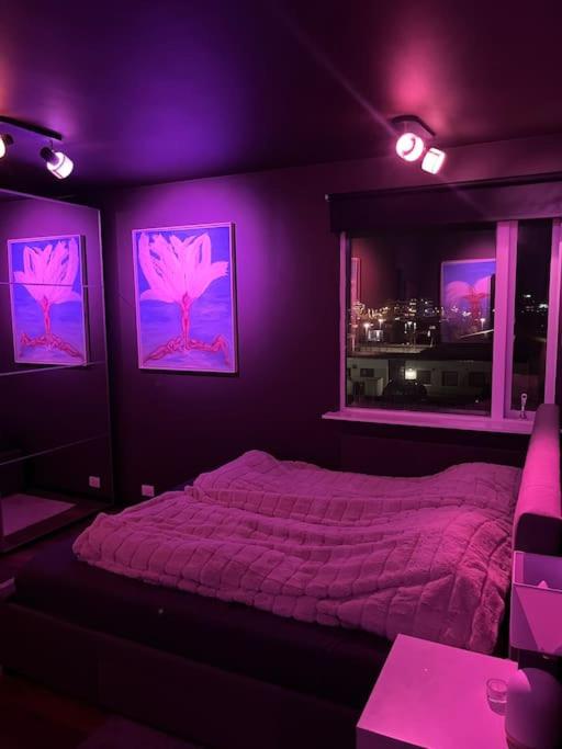 Luxurious apartment in Reykjavík view 5