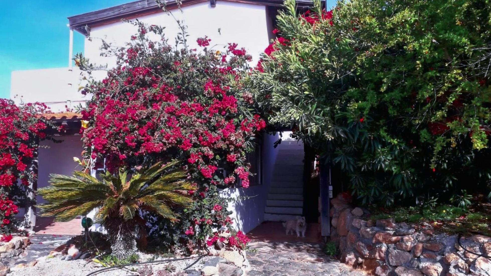 Casa Natural Individualurlaub abseits des Massentourismus, chillen, wandern, surfen, klettern, Strand