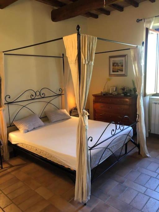 Esclusivo Casale Etrusco con Piscina e Zona Relax view 5