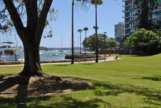 Lovely Apartment in Darlinghurst