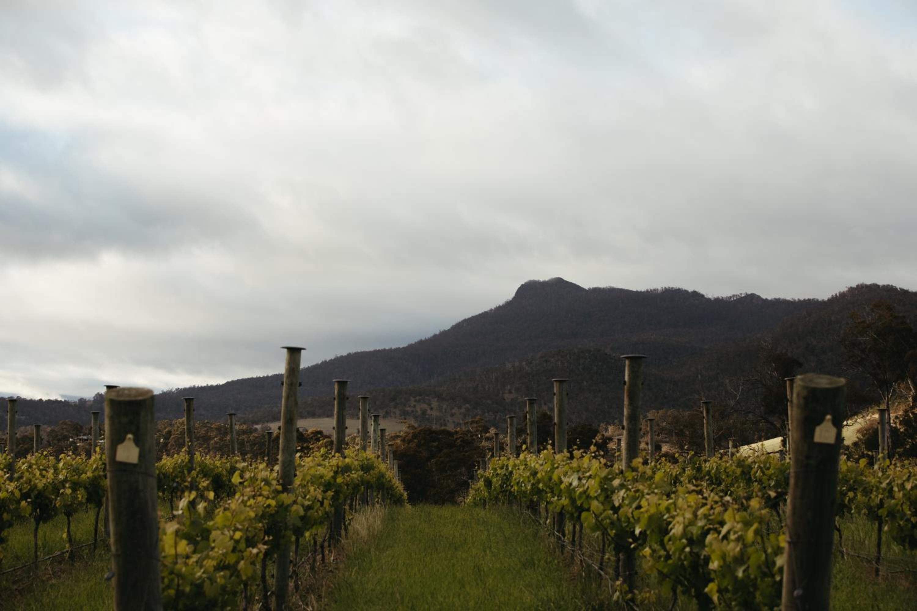 The Picker's Hut - Luxury Farm Stay