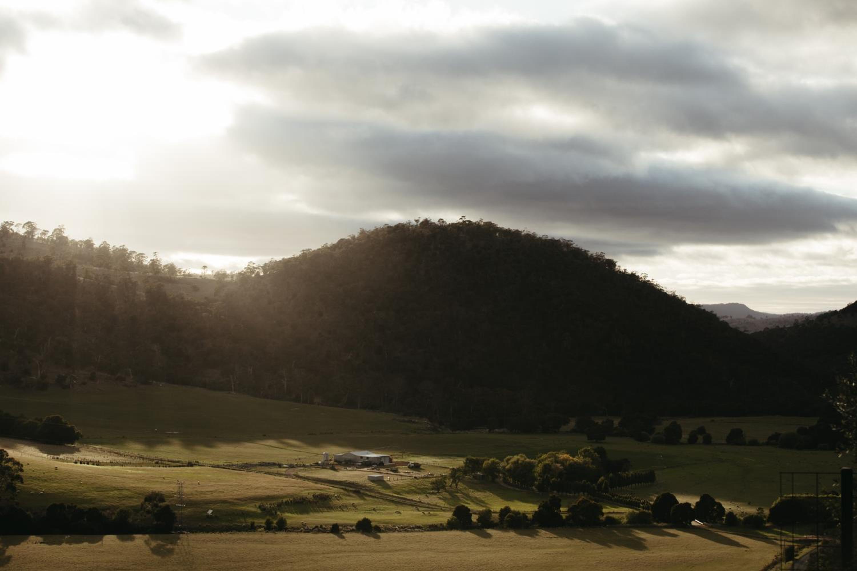 The Picker's Hut - Luxury Farm Stay
