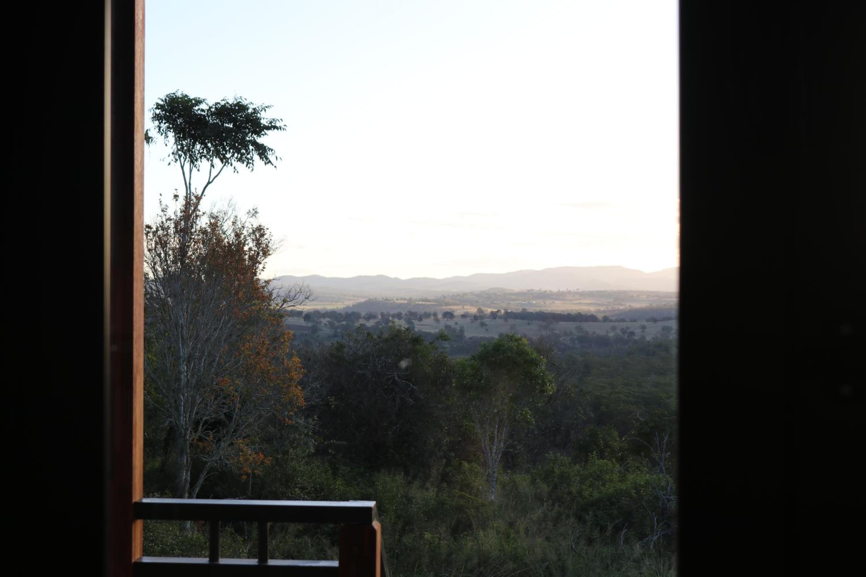 The Firebreak