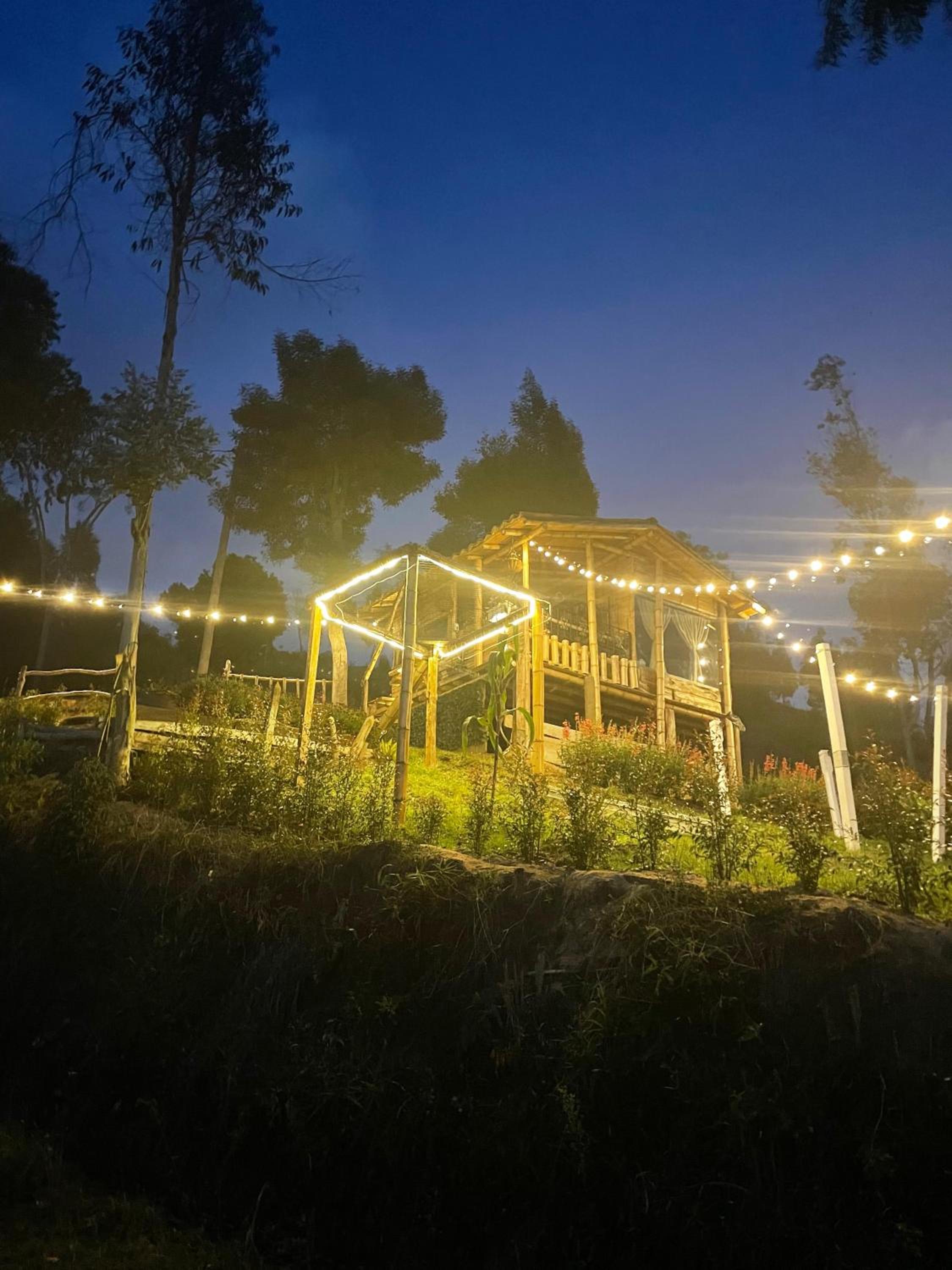 GLAMPING MILAGROS