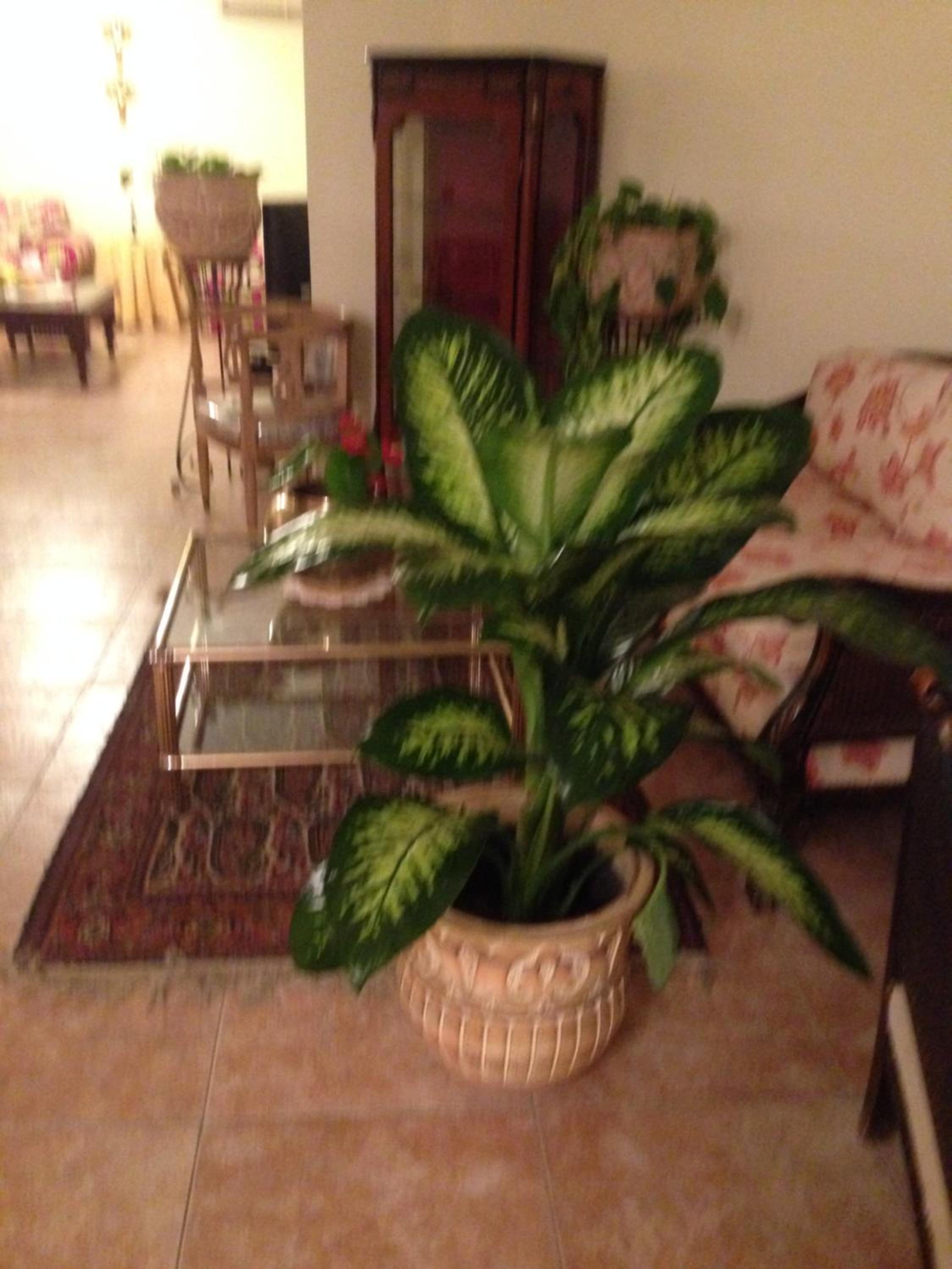 Very homely and welcoming apartment