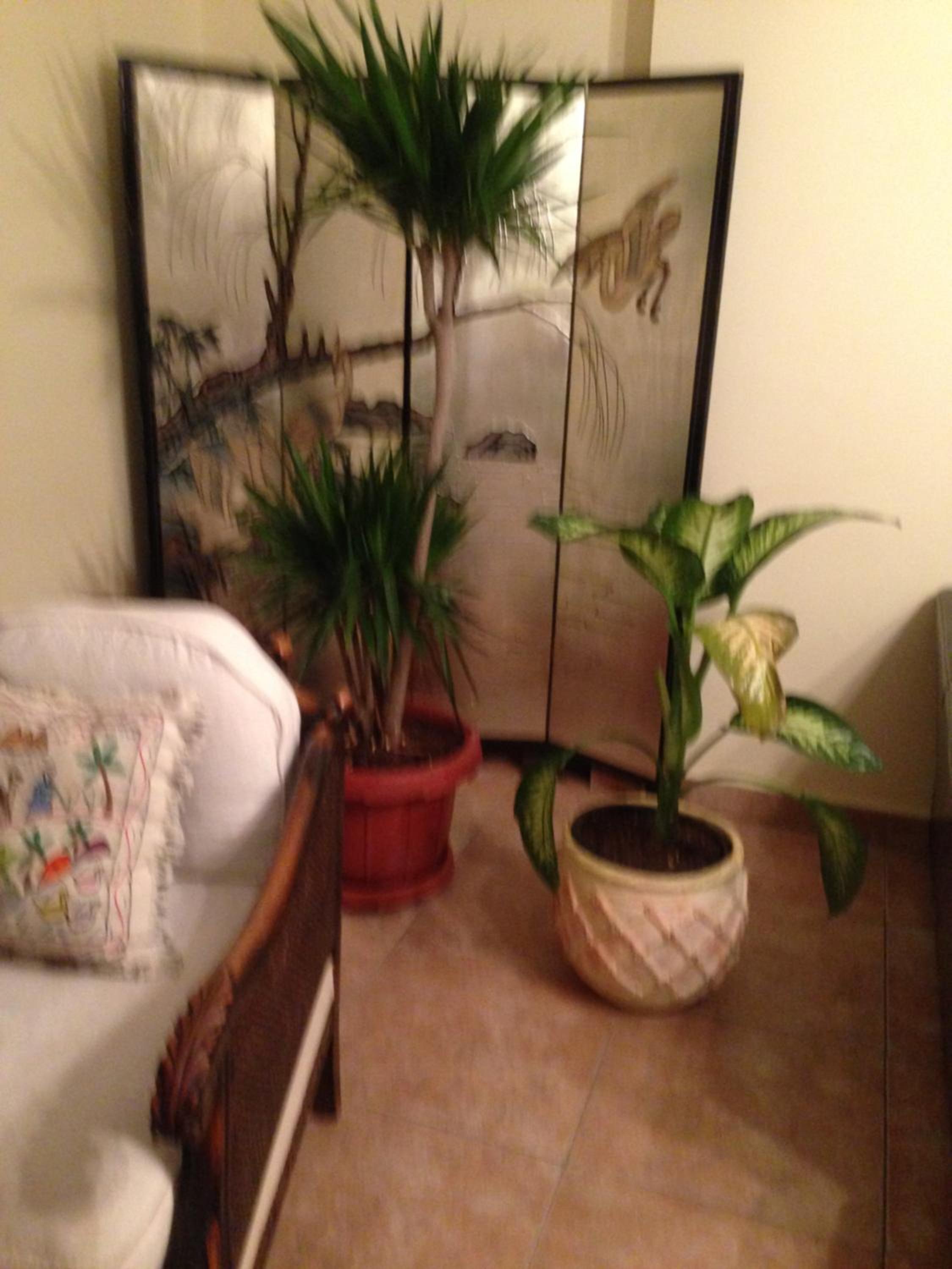 Very homely and welcoming apartment