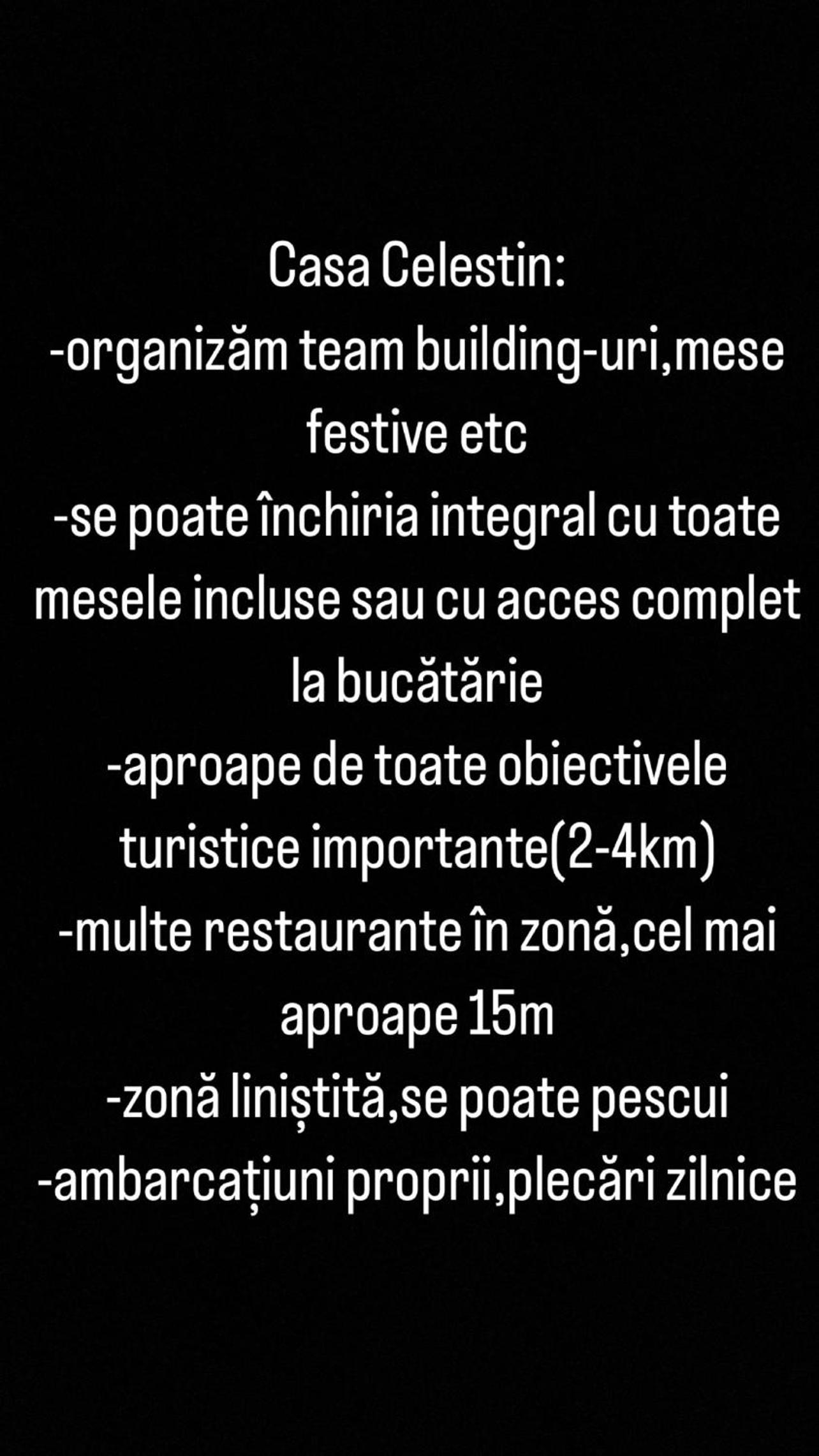 Pensiunea Celestin view 2