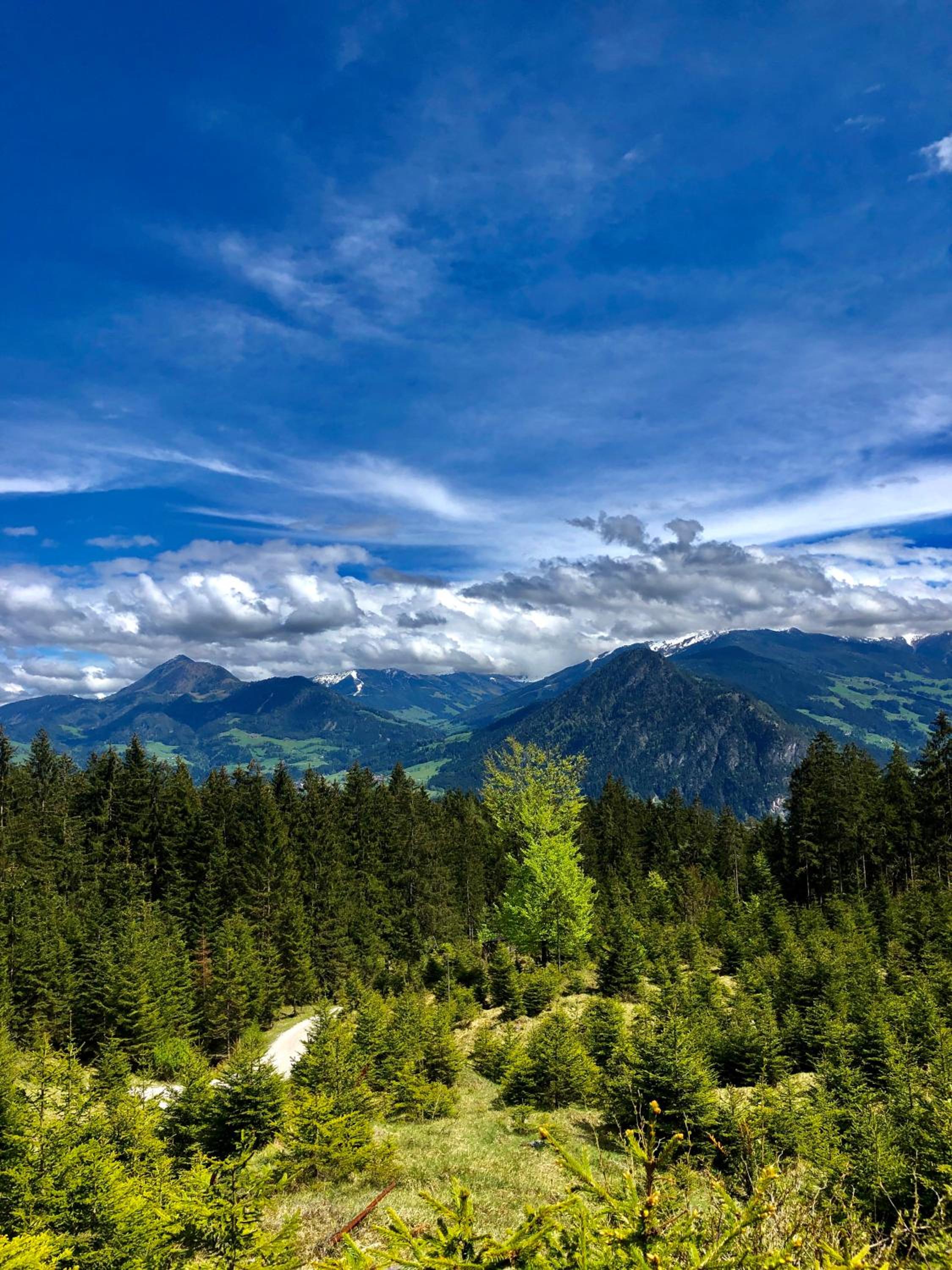 Pop-up2 Apartment - Zentral, Balkon, wandern, biken