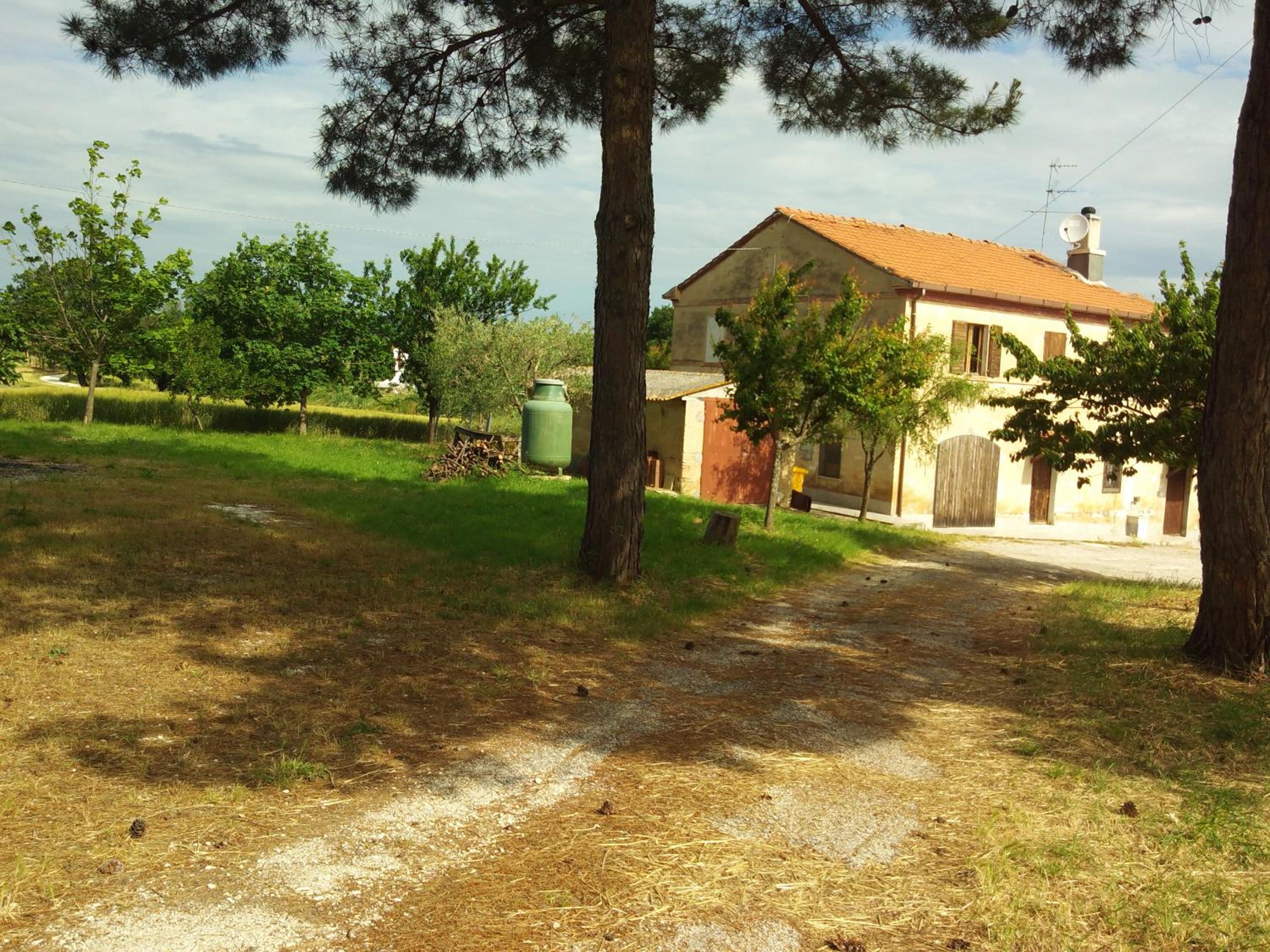Photo 7